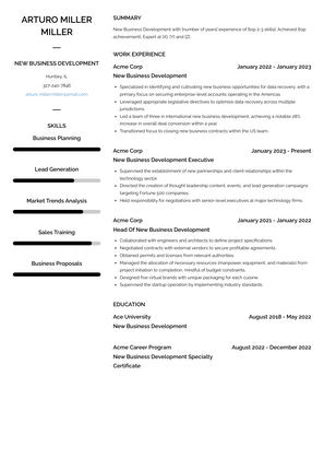 New Business Development Resume Sample and Template