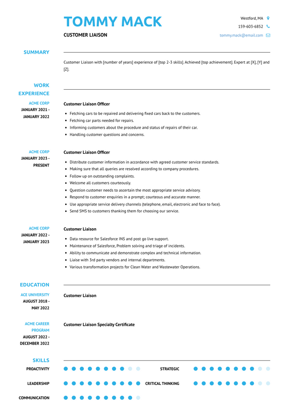 3+ Customer Liaison Resume Examples and Templates