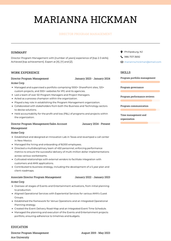 Director Program Management Resume Examples and Templates