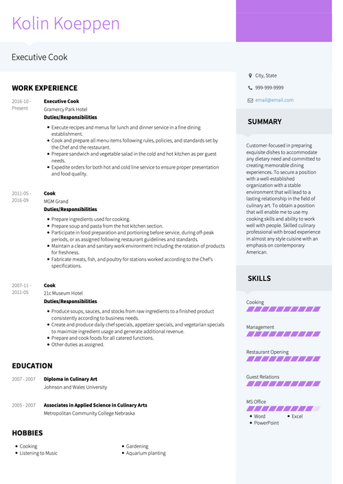 Real Professional CV Example & Sample Directory | VisualCV