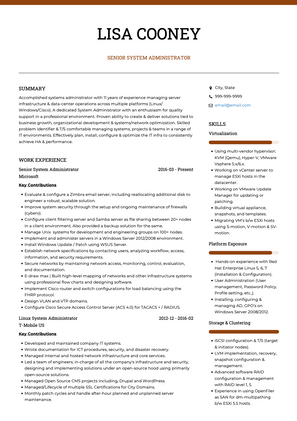 Senior Systems Administrator CV Example and Template