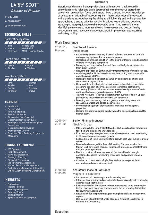 professional summary for resume finance