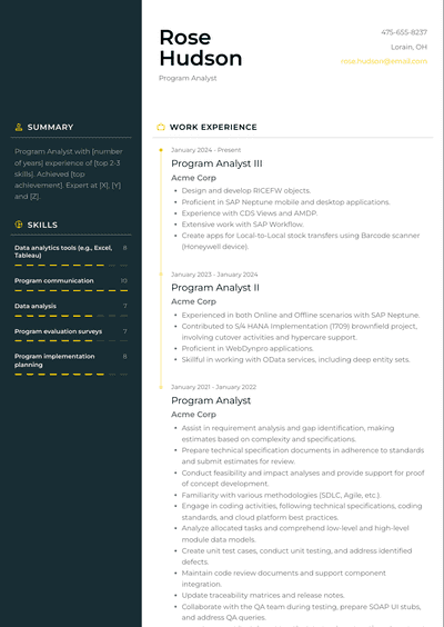 3+ Program Analyst Resume Examples and Templates