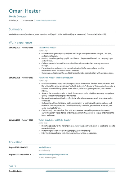 3+ Media Director Resume Examples And Templates