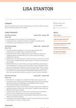 Sap Fico Consultant Resume Examples and Templates