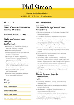 Elegant CV Template and Example