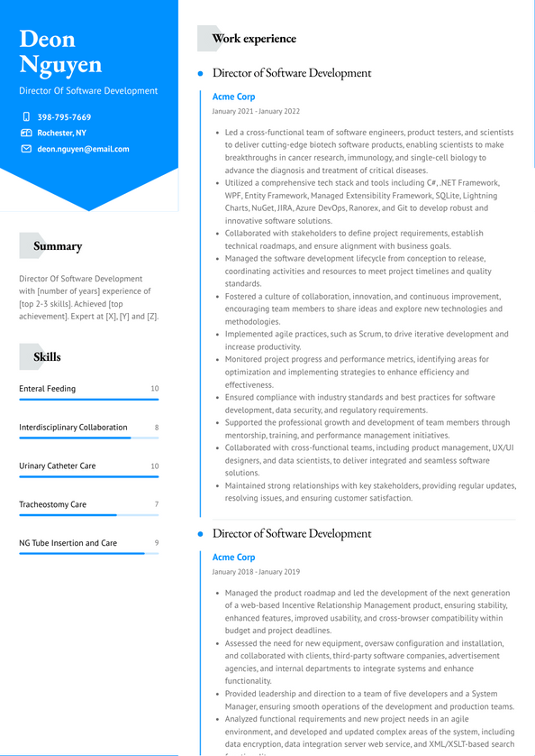 Director Of Software Development Resume Examples and Templates