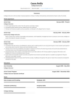 College Instructor Resume Examples and Templates