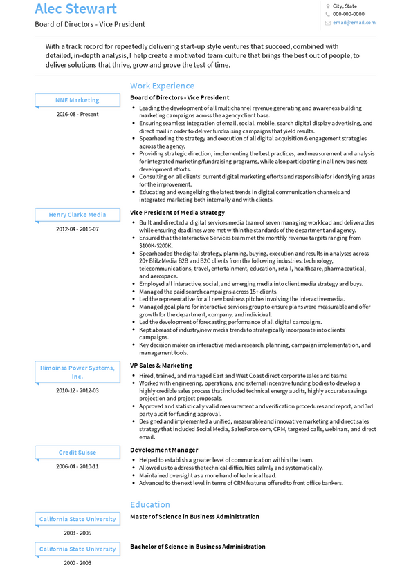 Board of Directors Resume Samples and Templates VisualCV