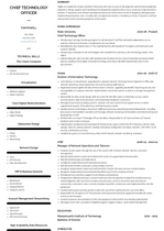 Chief Technology Officer Resume Examples [+ 3 Samples] | VisualCV