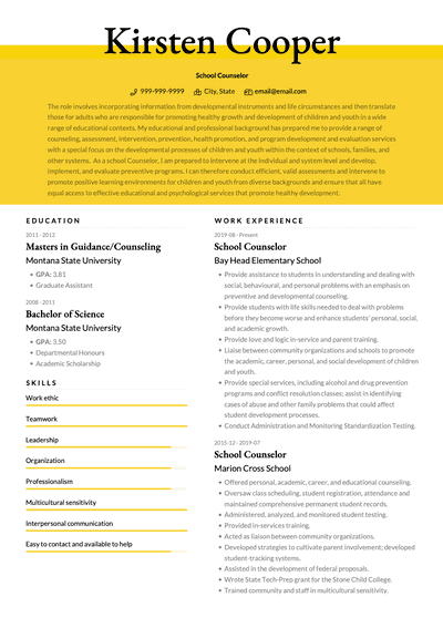 Counselor Cv Examples And Templates Visualcv 