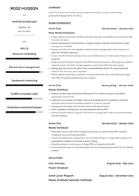 Master Scheduler Resume Examples And Templates