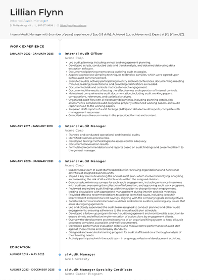 Internal Audit Manager Resume Examples And Templates