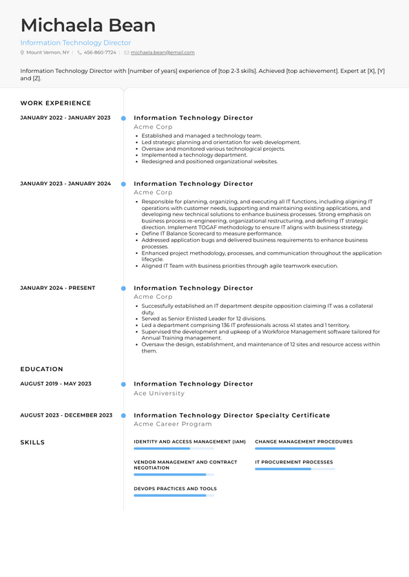 Information Technology Director Resume Examples and Templates