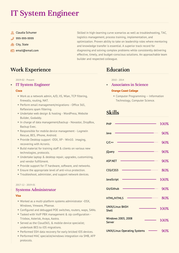 IT Engineer CV Examples & Templates | VisualCV