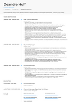 Channel Manager Resume Examples And Templates