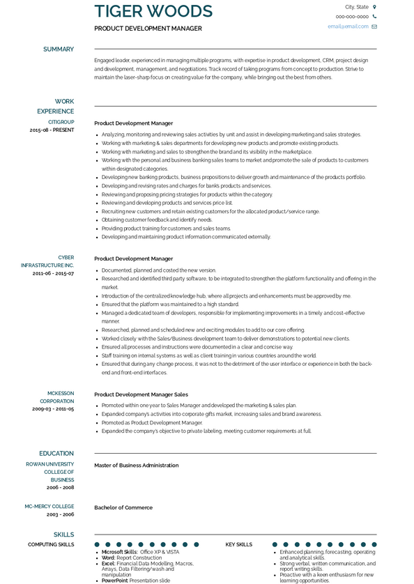 Development Manager Resume Samples and Templates | VisualCV