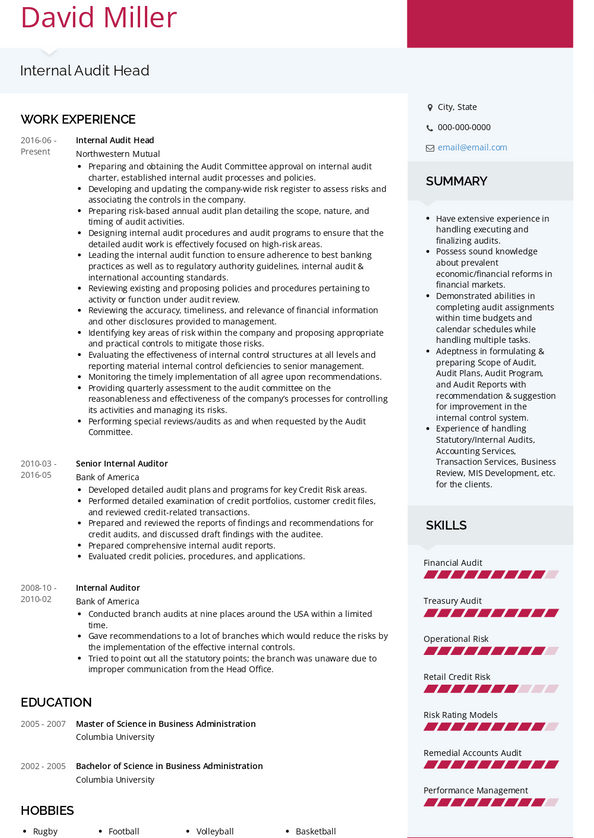 Internal Auditor Resume Samples [+ 3 Examples] | VisualCV