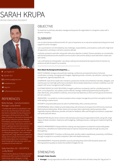 Senior Executive Resume Samples And Templates Visualcv