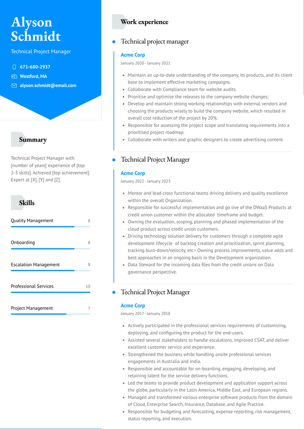 Technical Project Manager Resume Examples and Templates