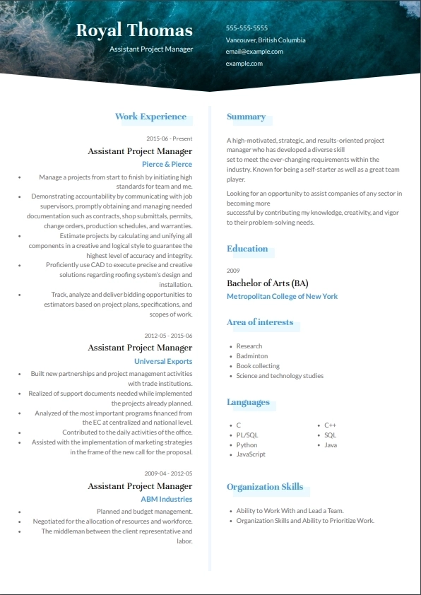 project management cv template for austria