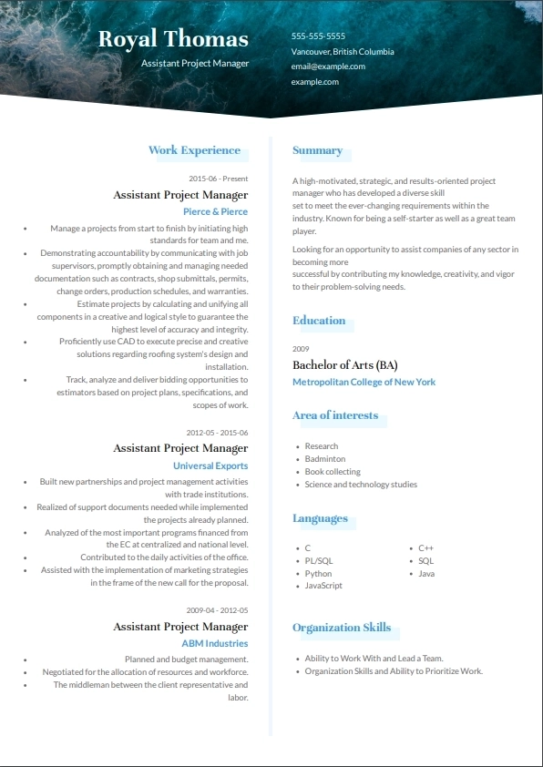 project management resume example for dubai