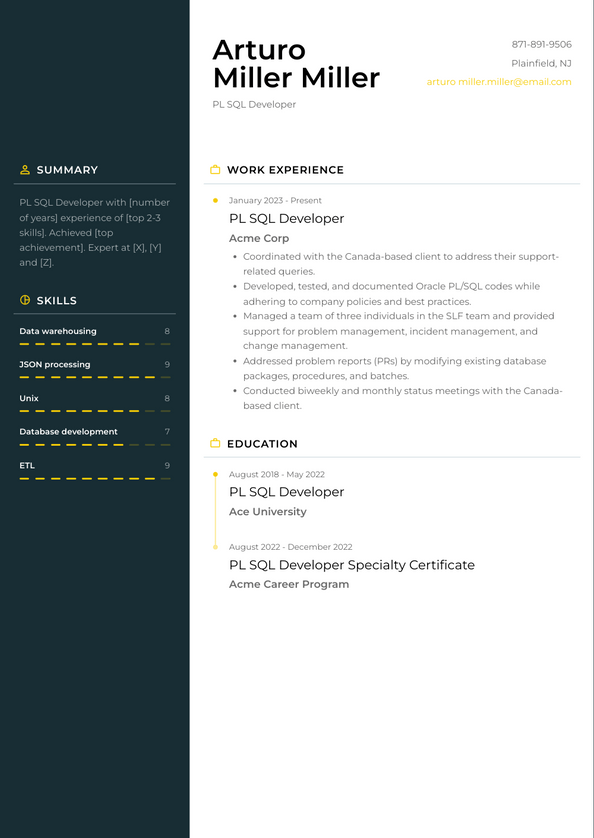 Pl Sql Developer Resume Examples And Templates
