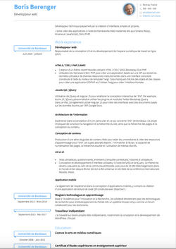 Développeur web Resume Sample and Template