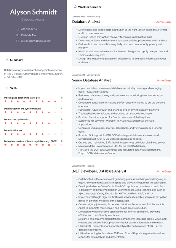 Database Analyst Resume Examples and Templates