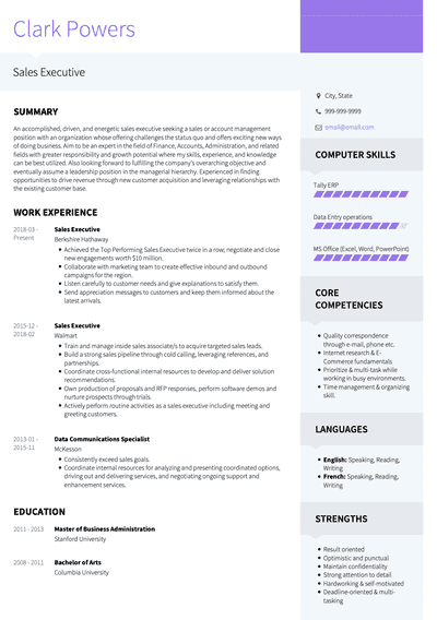 Outdoor Sales Executive Cv Samples / Executive CV Examples | The CV Store : What makes this a good sales cv?