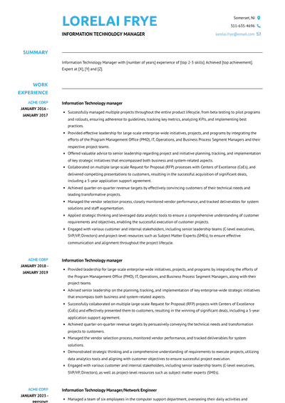 Information Technology Manager Resume Examples and Templates