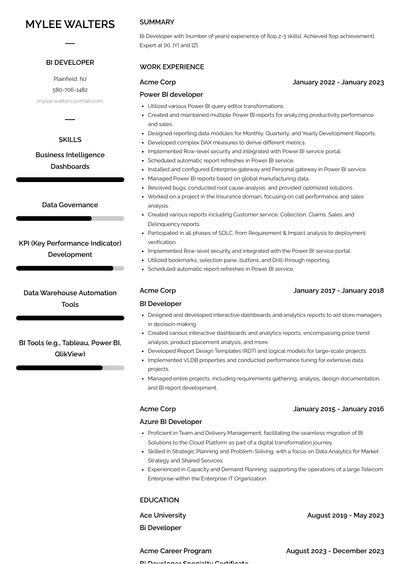 Bi Developer Resume Examples and Templates