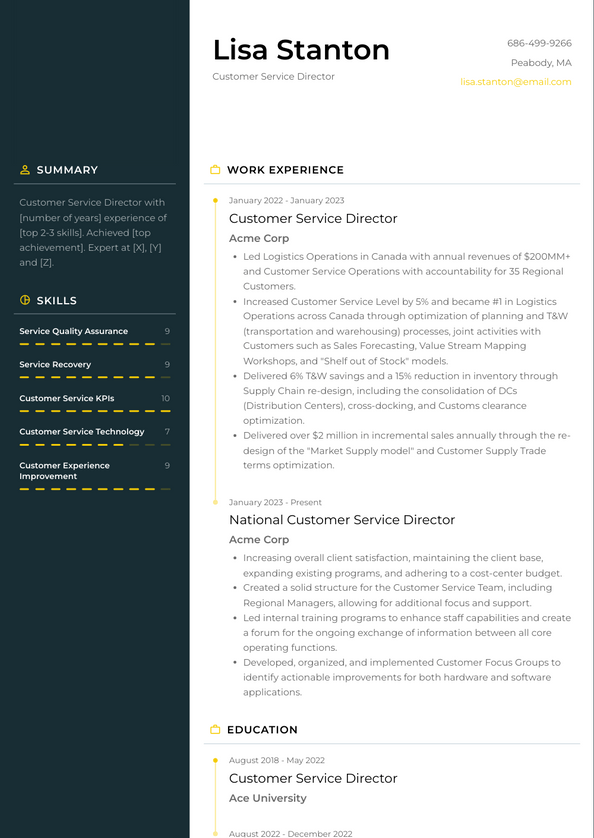 Customer Service Director Resume Examples and Templates