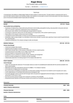 Sales & Marketing Executive Resume Samples and Templates | VisualCV