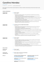 Ramp Agent Resume Examples and Templates