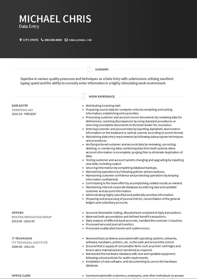 Data Entry Resume Examples And Templates 4287