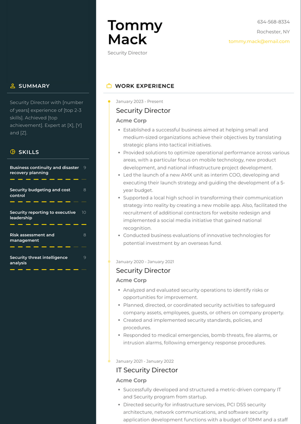 Security Director Resume Examples and Templates