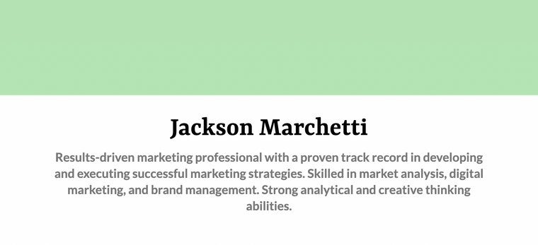 Minimalistic Resume Color Scheme for Marketing - Charcoal and Mint Green