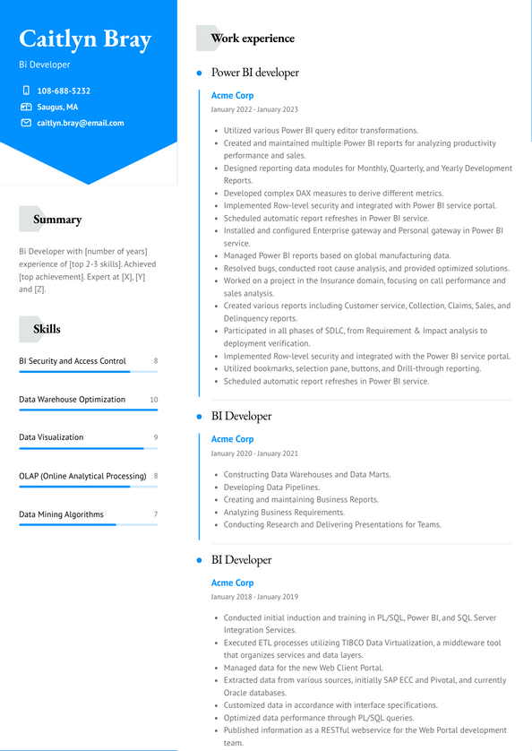 Bi Developer Resume Examples And Templates   Bi Developer Resume Example Baker 