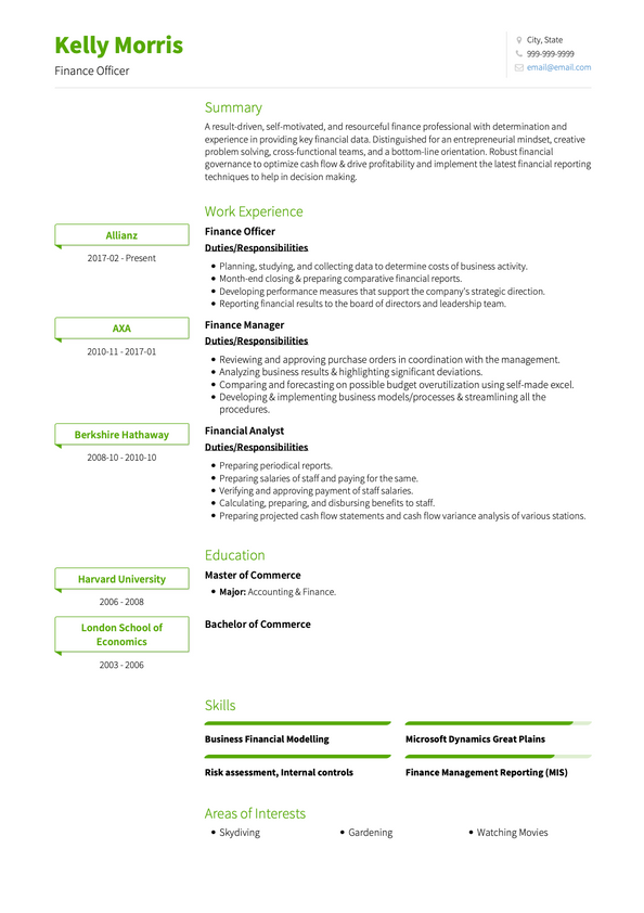 Finance CV Examples & Templates | VisualCV