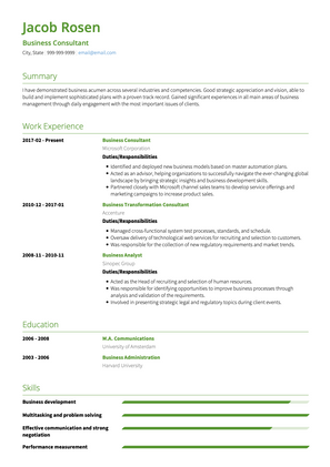 Business Consultant CV Example and Template