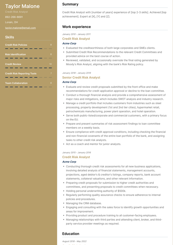 Credit Risk Analyst Resume Examples and Templates