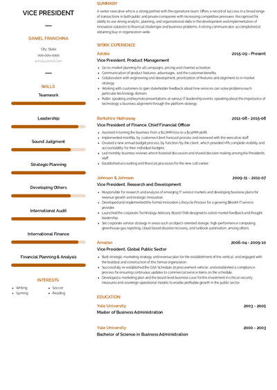 VP Resume Samples and Templates | VisualCV