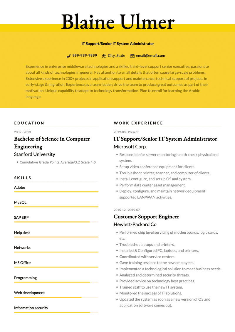  IT Support CV Examples Templates VisualCV