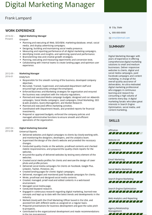 Digital Marketing Manager Resume Samples [+ 2 Examples] | VisualCV