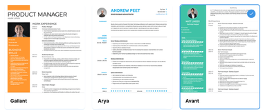 The Complete Guide To Using A Two-column Resume Template [with Examples]