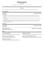 Truck Loader Resume Examples and Templates