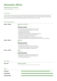 Driver CV Examples & Templates | VisualCV