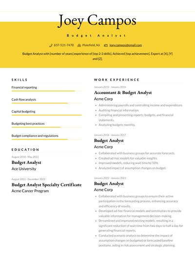 3+ Budget Analyst Resume Examples and Templates