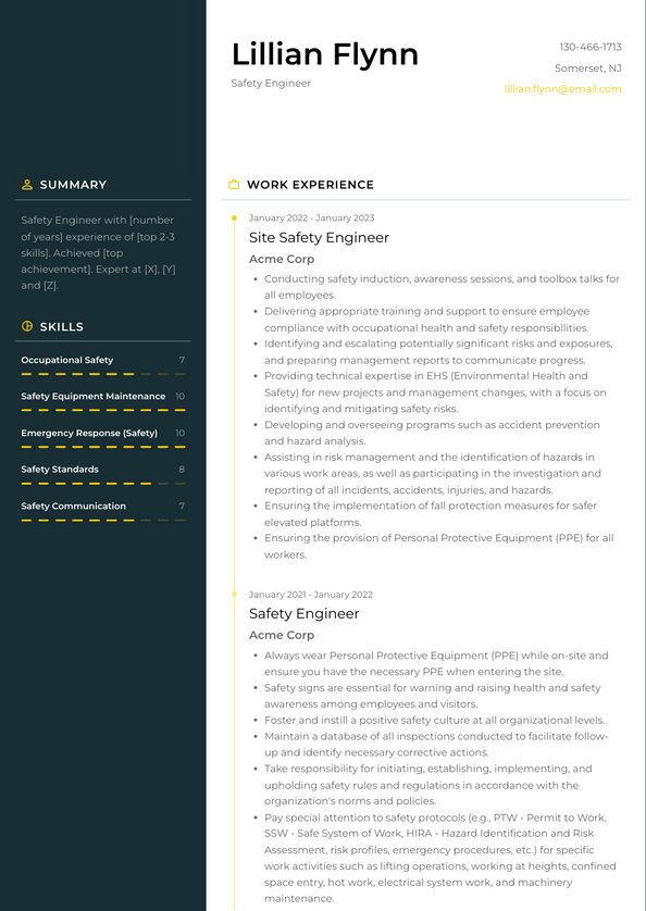 sample resume for safety professional